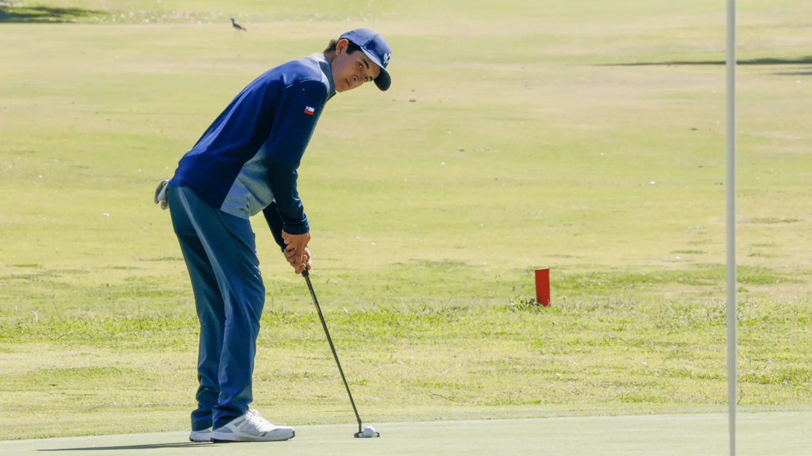 Hazaña amateur en Abierto Los Lirios 2026: Pérez Zegers se impone ante profesionales